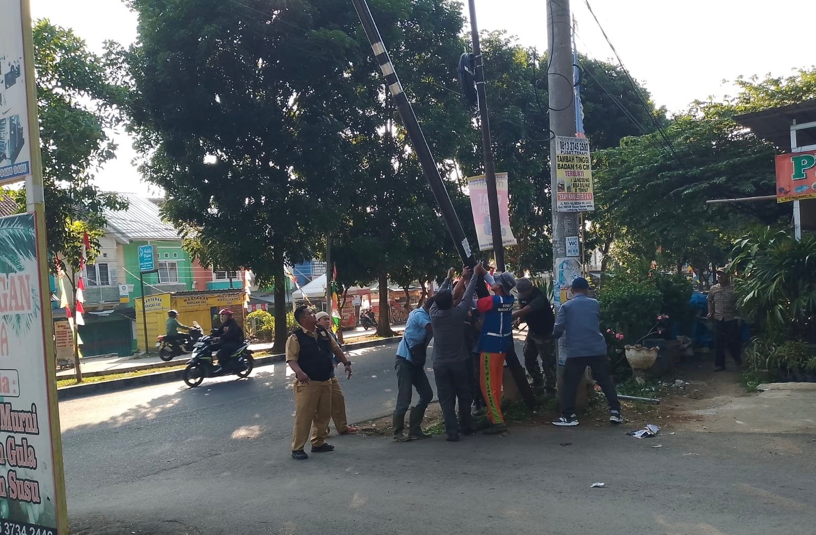 Proses pencabutan 