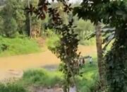Takut Ambruk, Warga Menyeberangi Sungai Saat Mengantar Jenazah” — Potret Memprihatinkan Jembatan Gantung Way Ratai