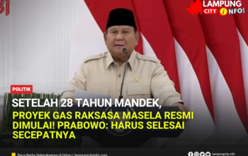 Setelah 28 Tahun Mandek, Proyek Gas Raksasa Masela Resmi Dimulai! Prabowo: Harus Selesai Secepatnya