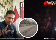 Pengendara Terjatuh di Proyek R.E. Martadinata, PPWI Lampung Desak Gubernur Bertanggung Jawab